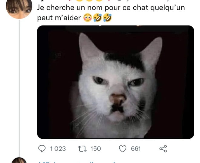 Top 50 des meilleures images drôles